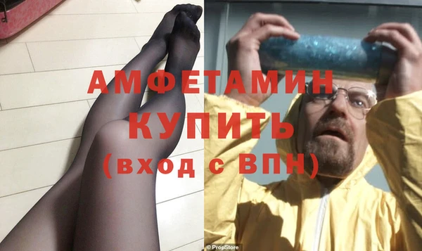 прущие грибы Богданович