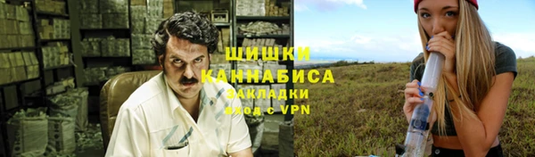 прущие грибы Богданович