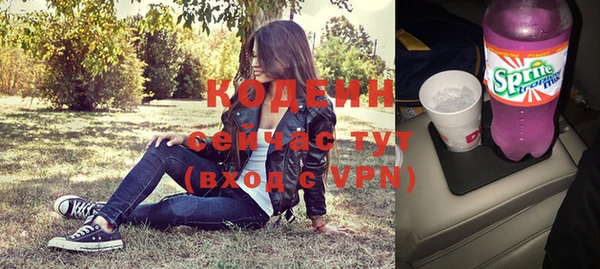 прущие грибы Богданович
