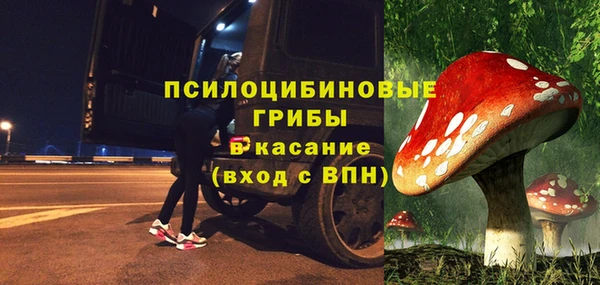 бутират Богородицк