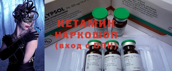 индика Богородск