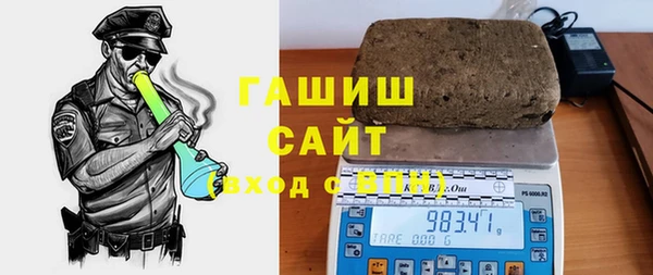 индика Богородск