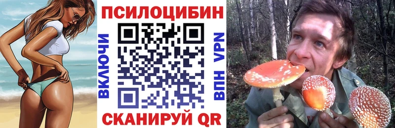 Псилоцибиновые грибы Psilocybe  Горячий Ключ 