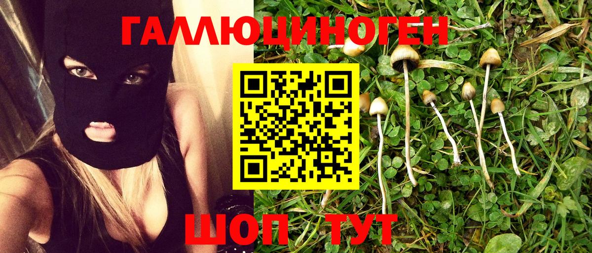 хочу наркоту  Псилоцибиновые грибы мицелий  Псилоцибиновые грибы MAGIC MUSHROOMS  Вход с VPN  Горячий Ключ 
