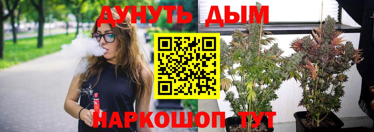 Каннабис марихуана  Шишки марихуана планчик  Вход с VPN  Горячий Ключ  Бошки марихуана сатива 